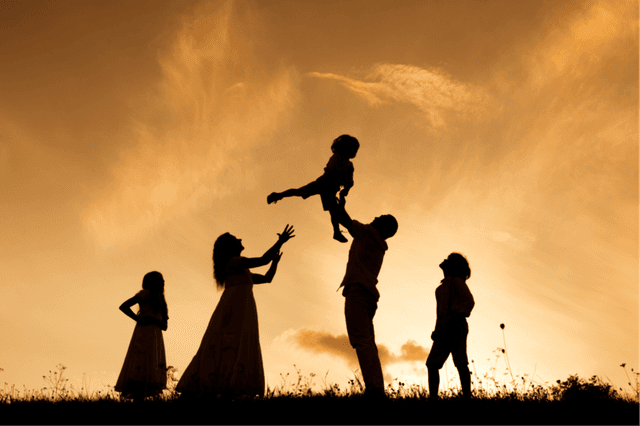 Home | MSB Solicitors