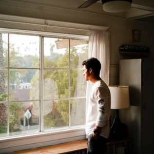 Social Housing & Domestic Violence