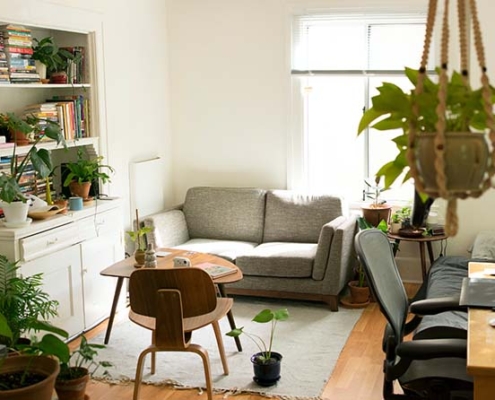 Repairs & COVID-19: What you need to know