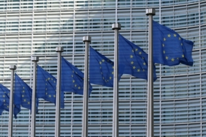 The effect of Brexit upon the rights of domestic abuse victims