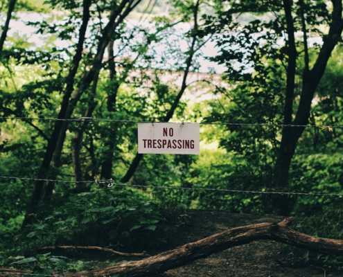 A forest with a 'no trespassing sign'