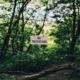 A forest with a 'no trespassing sign'